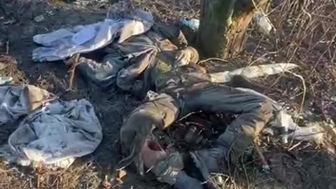 Ukraine war combat footage 10/4/25