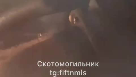 The Foreign Legion's suckers are catching the FPV in the Zaporizhzhia region