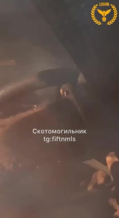 The Foreign Legion's suckers are catching the FPV in the Zaporizhzhia region