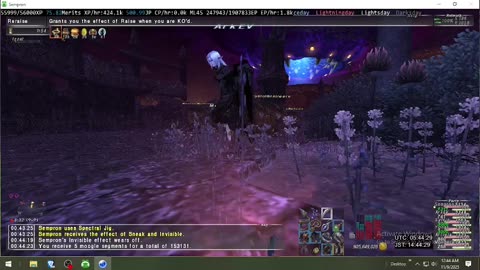 Playing Final Fantasy XI Online