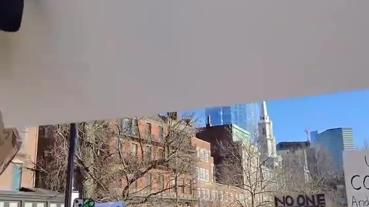 Dude says "Make America Great Again" at an anti-Trump protest. HeII breaks