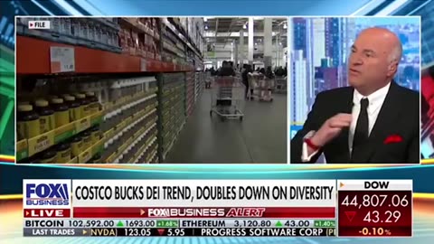 Kevin O'Leary Rips WOKE DEI Costco for boldly defying Trump order