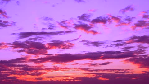 Olivia Newton-John - When You Believe (2025 Visualizer)