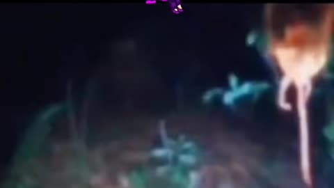 😱🧙‍♀️ Face to Face with a Witch: The Encounter You Must See to Believe | TheHauntingHour