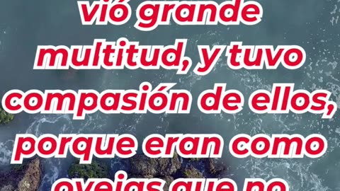 “Jesús, el Pastor que tiene compasión” Marcos 6:34.#shortvideo #shorts #youtubeshorts #ytshorts #yt