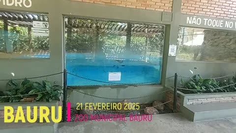 BAURU ZOOLÓGICO