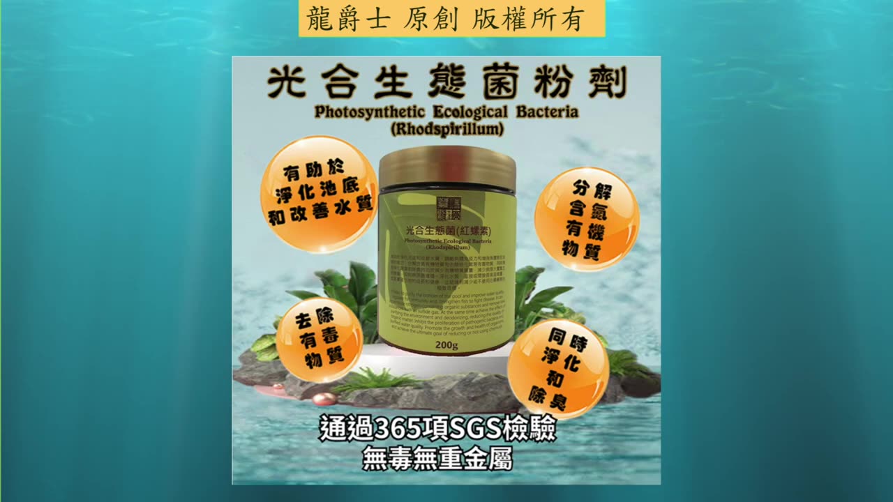 【龍爵士】千問千答 Q226 光合菌有水質淨化跟除臭的功能那還需要買活性碳嗎