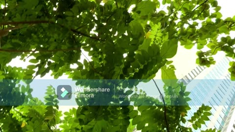 Green Living in the City | Stunning Eco-Friendly Apartment Design with Lush Greenery