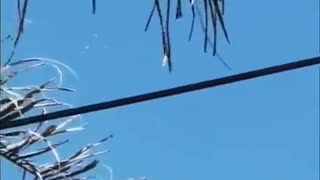 🛸💃 UFO Flotilla Dancing in San Juan del Río! | TheTruthAbove