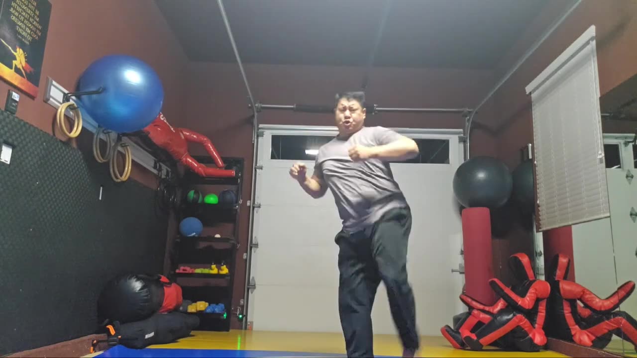 WTD 2 Step Kick Combination 194