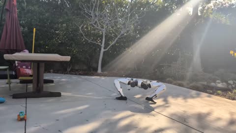 Unitree G1 - Crawling Robot