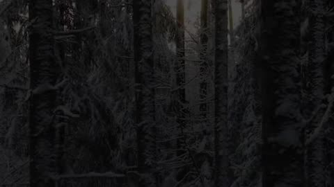 🙏🕊️ Daily Prayer | Praise God & Find Peace | InGodWeTrustDaily