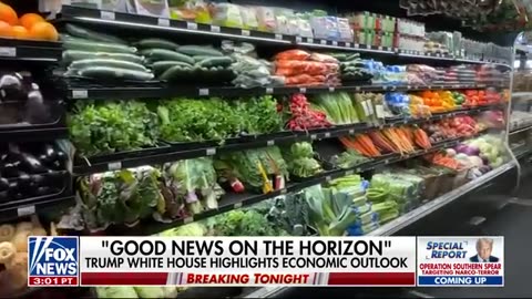 JUST IN_ Bondi launches investigation into Trump-Epstein allegations