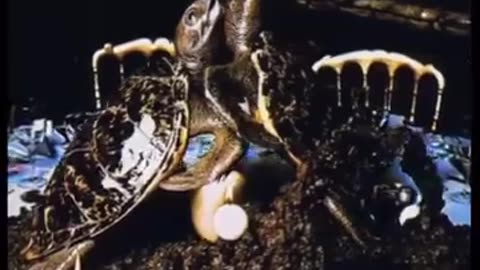 RICCHI, PSICOPATICI, DEPRAVATI, VIOLENTI, SPREGIUTICATI, DISUMANI