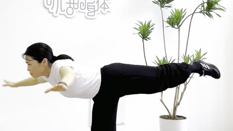 0015.小燕平衡飛 一個動作開發全身體功能性