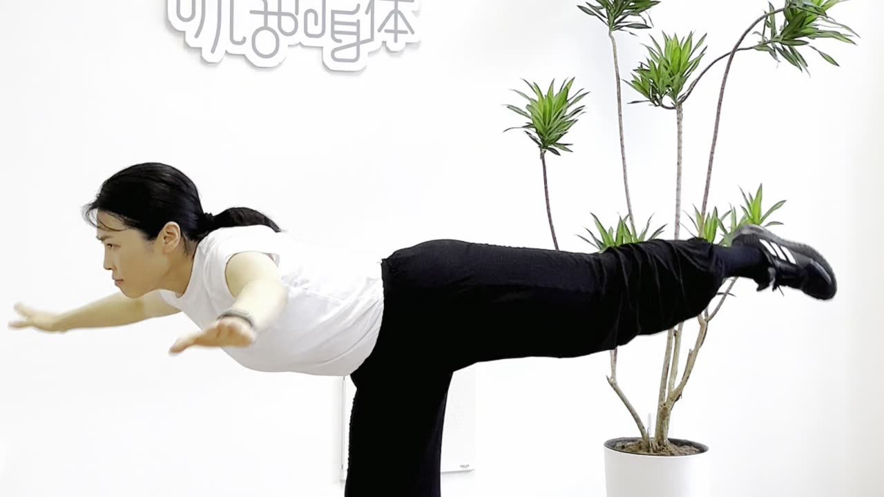 0015.小燕平衡飛 一個動作開發全身體功能性
