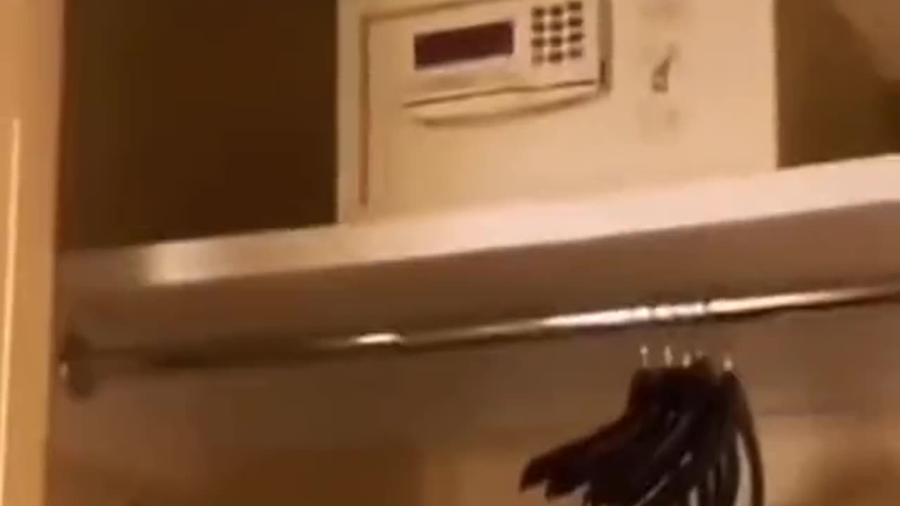 😱👻 You Won't Believe What They Caught on Camera! Ghost Tries to Open Safe | TheHauntingHour