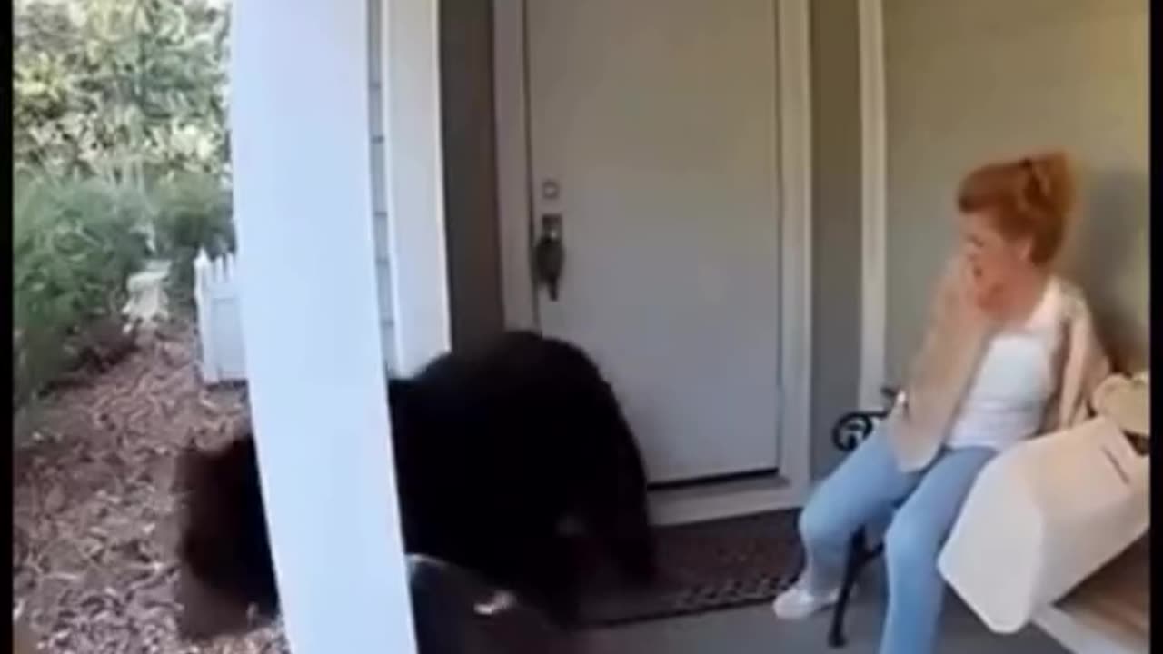 The pitbulls prevent a bear from attacking the women