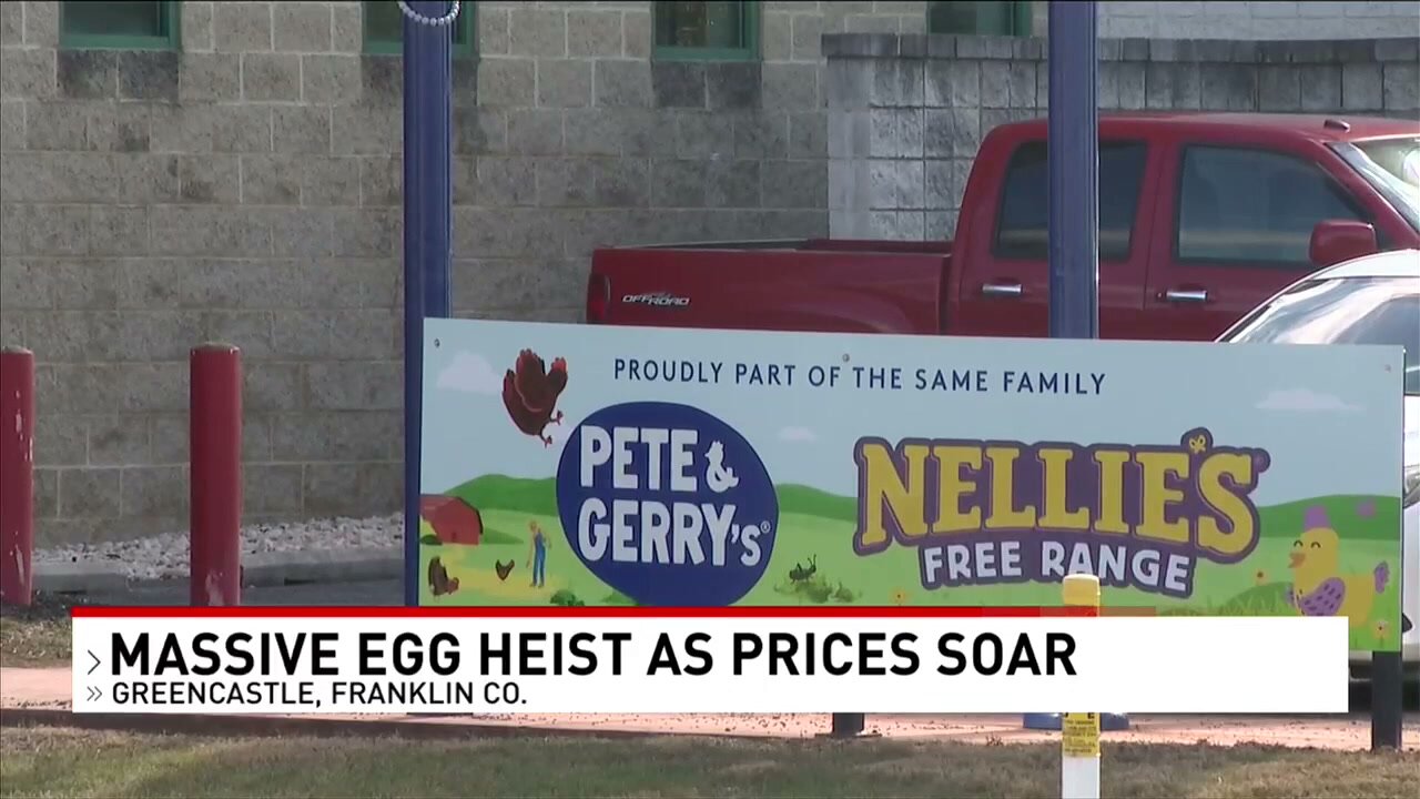 Organic Egg Theft Leaves Pennsylvania Authorities Scrambling To Crack The Case