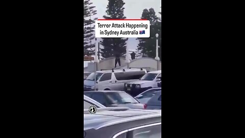 Importă lumea a treia și devii lumea a treia.