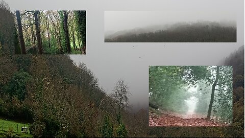 04, hike, humid, cold , misty , werewolves, #2025,