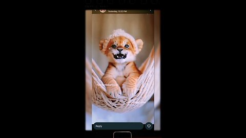 Baby animal cute voice| #baby #animal #cute
