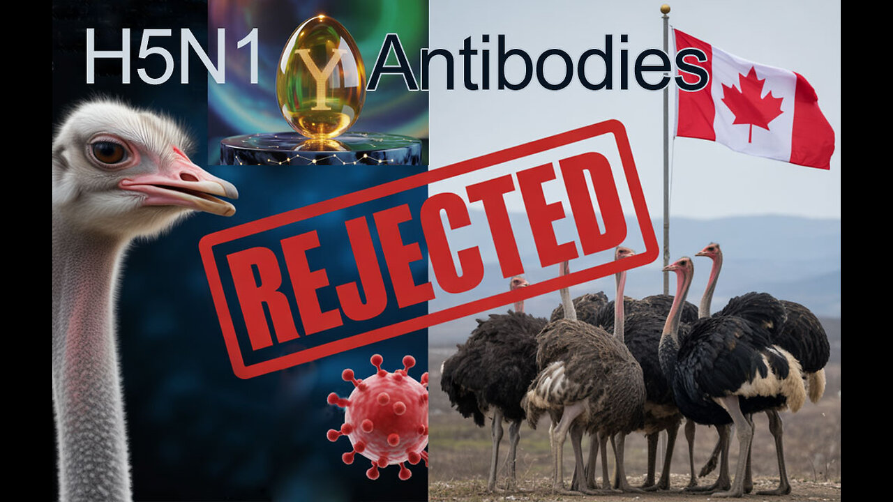 Why Killing These Ostriches is a Massive Scientific Blunder while making Canada look like sh….t.