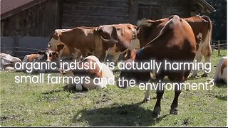 Are We Being Lied to About Organic Food - Fake Organic Food