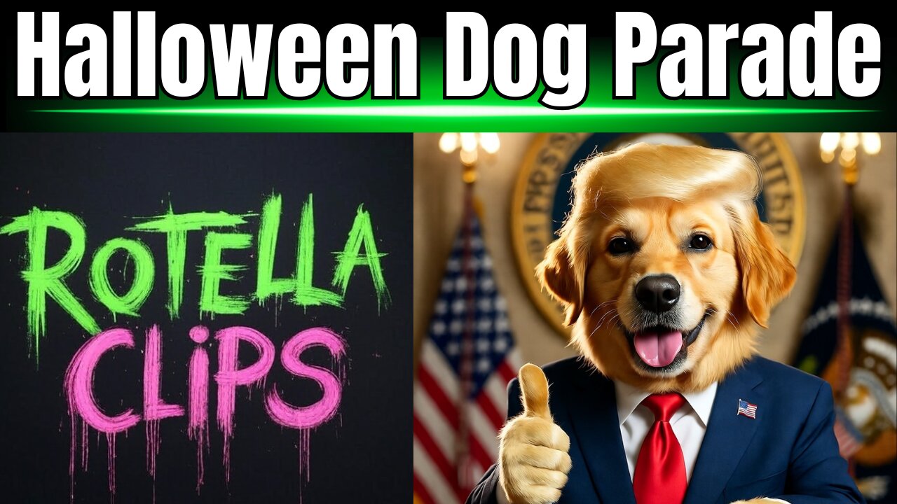 Halloween Dog Costume Parade