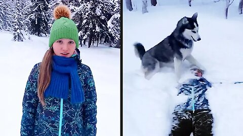 Your Daily Dose of Pets