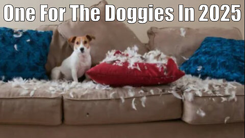 One For The Doggies in 2025