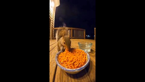 🐿️ Funny/relatable style: 🔥 “When you realize the noodles were way spicier than you expected 😭💦”
