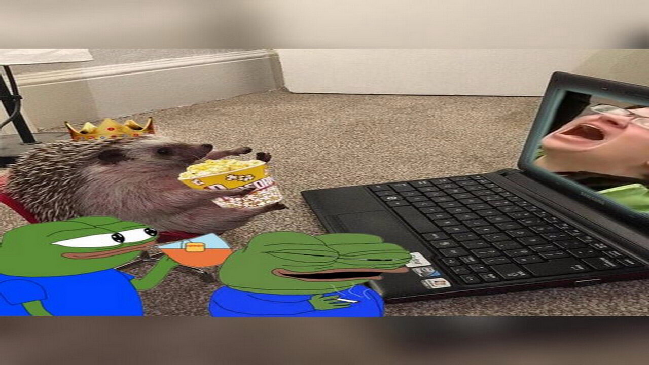 fren news17 - SEDITIOUS TREASON 2