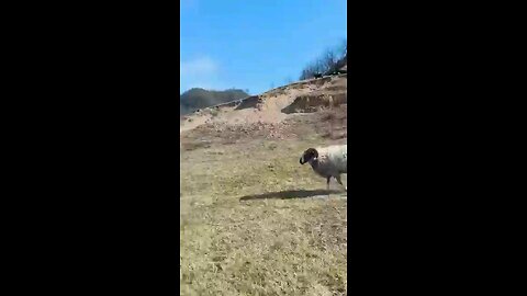 funny video 📸😂