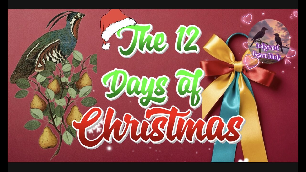 12 days of Christmas what are they?