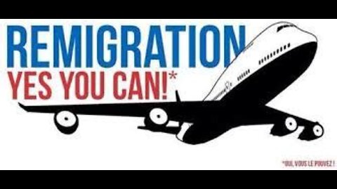 La Remigration, LA solution ?
