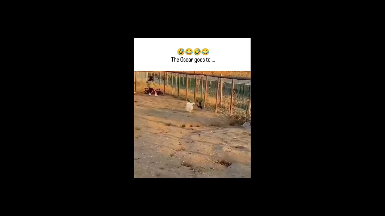 oscer acting 😂