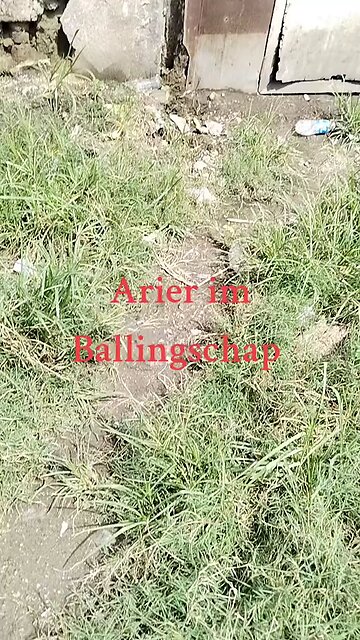 El Presidente Duterte