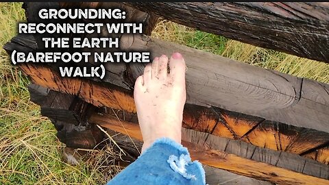The Healing Power Beneath Your Feet: Barefoot in Nature