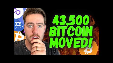 BITCOIN TREASURY MOVED!! GET READY FOR TOMORROW!!