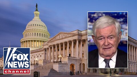 Gingrich: This is the 'DUMBEST strategy' I've seen in a long time 