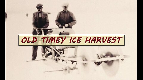 Winter ICE HARVEST (1920's) #reset #mudflood #oldworld