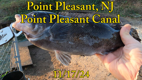 Point Pleasant NJ - Fishing for Tog (Blackfish)