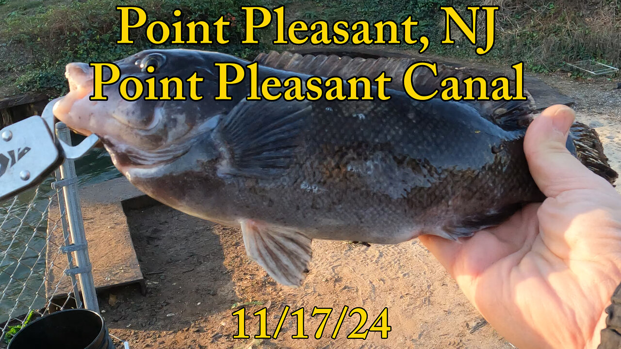 Point Pleasant NJ - Fishing for Tog (Blackfish)