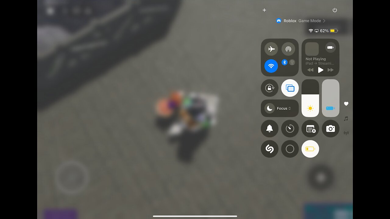Roller coaster on Roblox