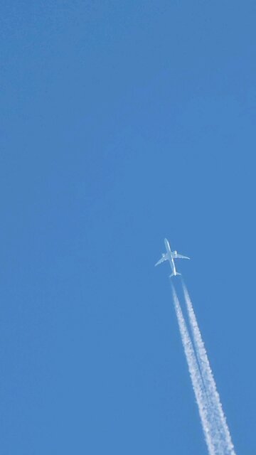 How do we Stop climate change 🤔