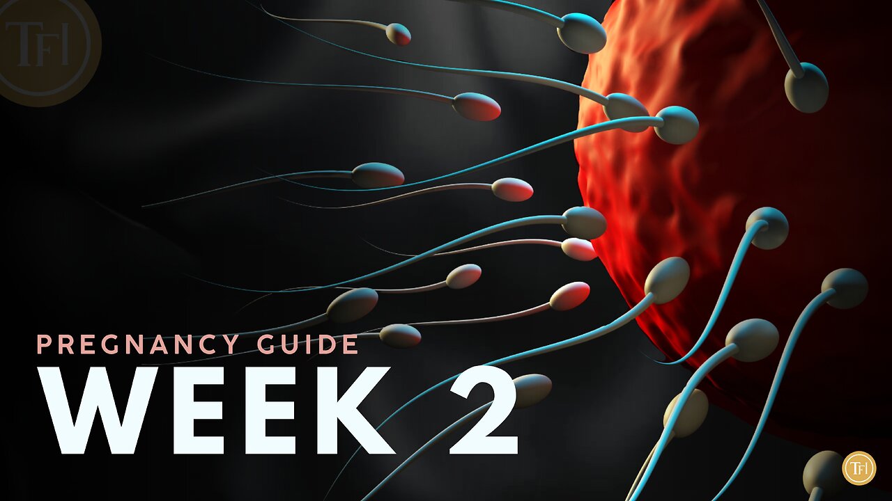 What to Expect at Week 2 | Week by Week Pregnancy Guide