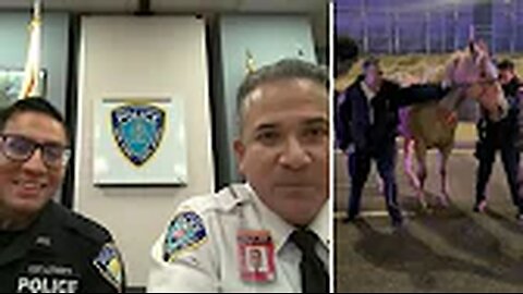 Port Authority officers describe how they captured runaway horse near JFK airport