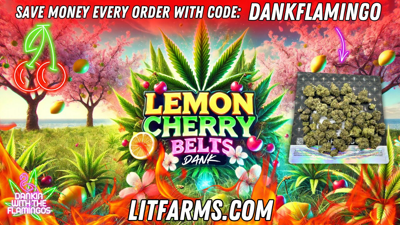 Enjoying Some Lemon Cherry Belts from LIT Farms! Dankin with the Flamingos Review!!