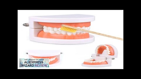 Montessori Educational Toys For Children Early Learning Kids Intelligence Brushing Tooth Review